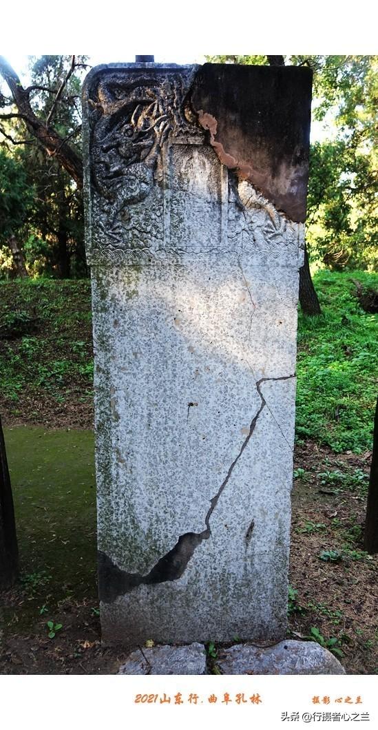 山东行游影记（226）—曲阜孔林（二）