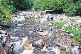 守好大秦岭 护好黑河水 周至践行“两山”理念 交出“生态美”靓丽成绩单图片