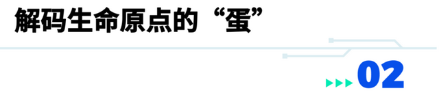 一颗“蛋”可以在张江孵化出什么？