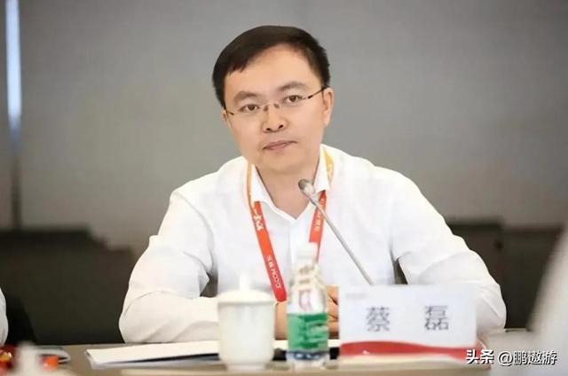 宣告奇迹出现刚2个月，蔡磊再破天花板	，让整个科研界“沉默”了