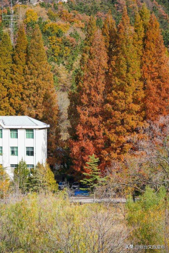 【乐游烟台】烟台绝美赏秋地即将封山，别错过