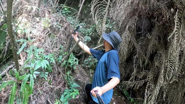 重庆大学城深山发现一排蛮子洞，内部有古人留下的文字和生活痕迹