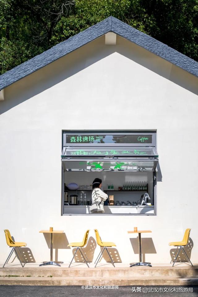 直冲20°C！武汉赏秋天花板，上新3个玩法