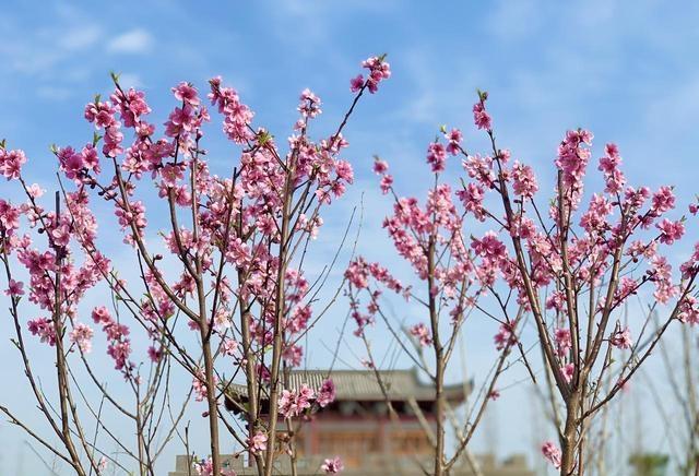 武汉人，去了浠水跟蕲春两县，直言不讳：浠水跟蕲春天差地别