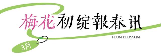 速收藏！台儿庄古城春之花影与夜灯，错过再等一年哟！