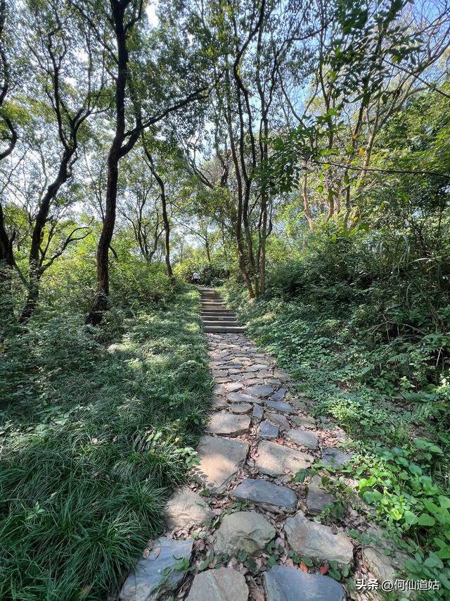 吴城“世界湿地，候鸟王国”