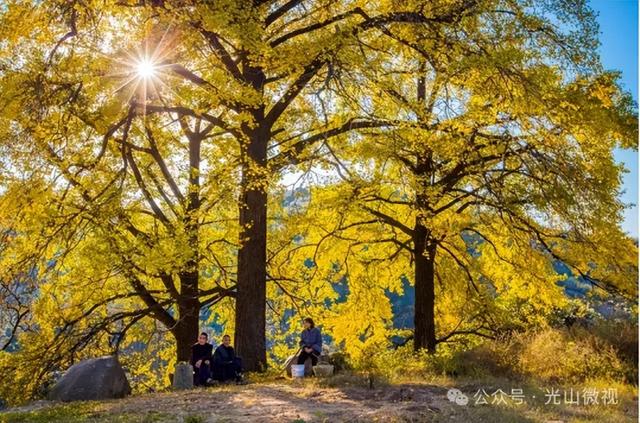 信阳十个醉美秋景等你打卡，来看光山哪些景区上榜