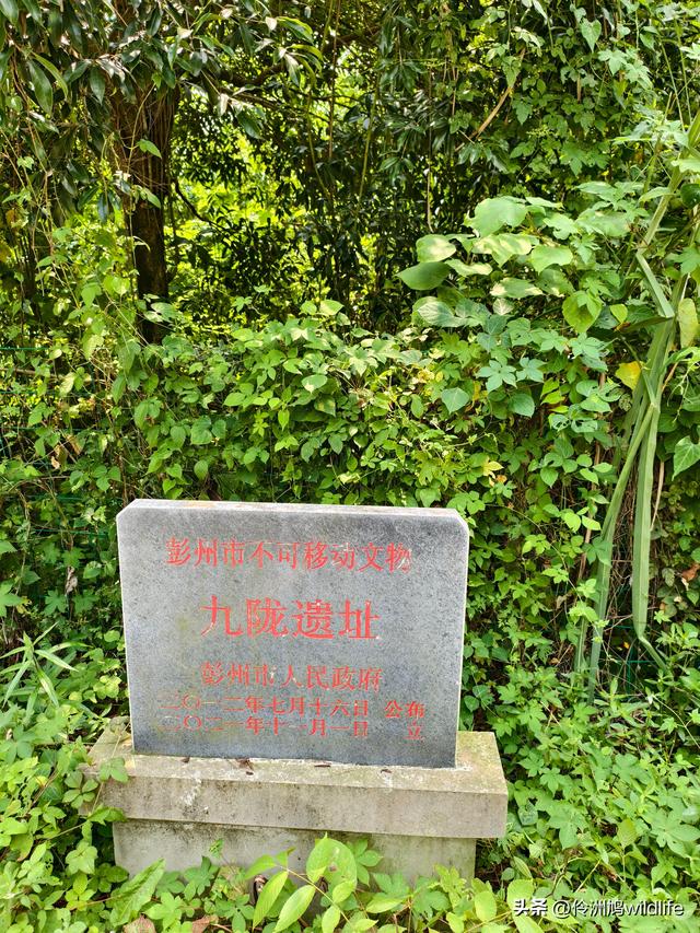 成都徒步（68）·彭州篇⑮佛山古寺&镇国寺宝塔