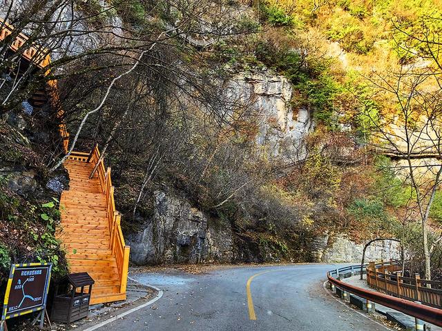 2024深秋四川行19 神农架风景区2 华中屋脊的五彩秘境