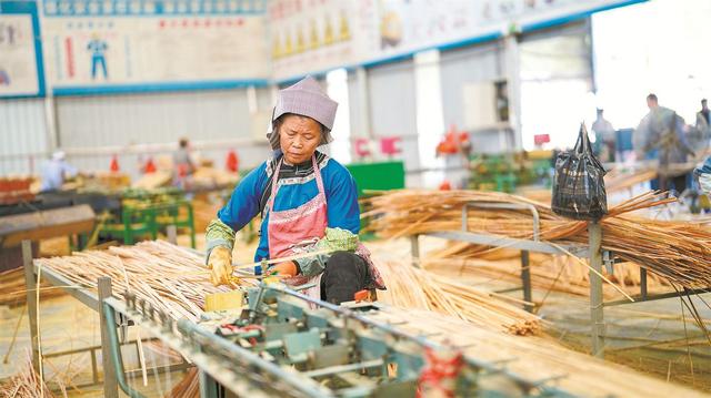 竹子能救地球？中国这招太狠了！专家解谜竹子代替塑料的战略意义