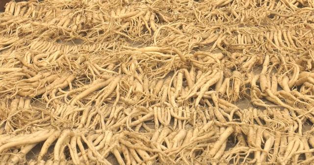 漳县等待每一位“朱迪”和“尼克”前来探险