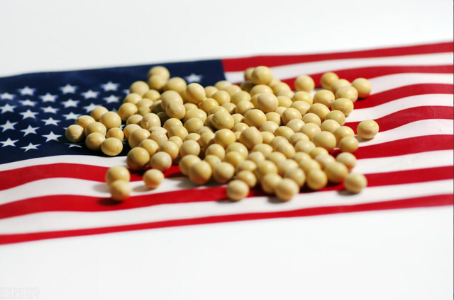 中方买下1200万吨大豆，美财长公开摊牌	，中国再也买不到委石油了
