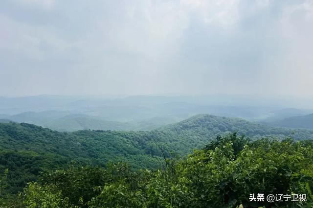 沈阳周边隐藏的“小阿勒泰”！市内出发一小时直达的云端秘境，还有高山草甸+萌宠乐园