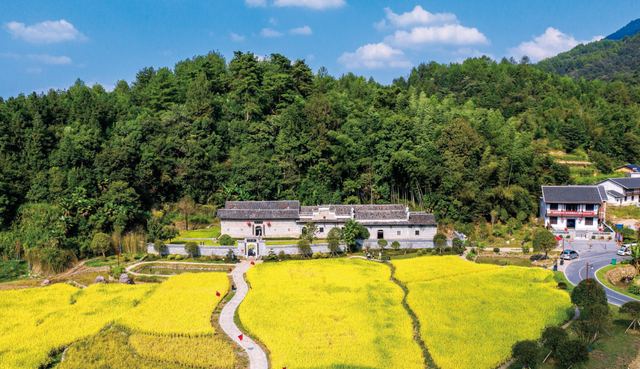 开篇暴击：九江秋季 “顶流” 集结，颜值巅峰已在路上！