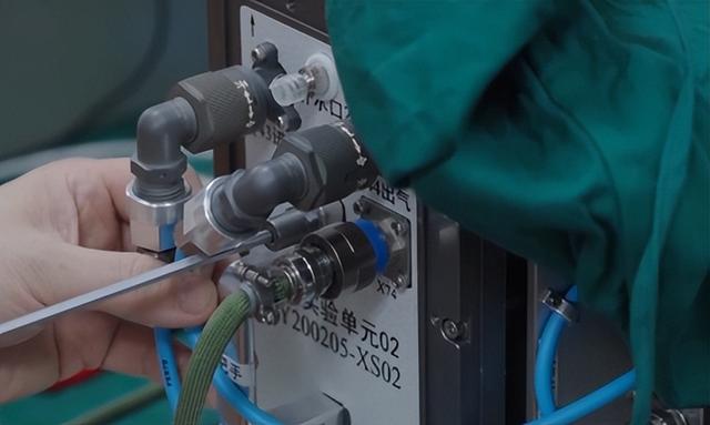 送动物上天不只为探路！小小"航天员"，帮人类找星际生存答案