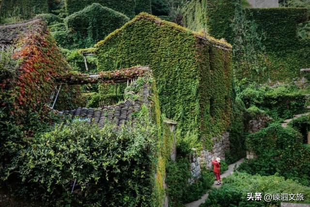 等一分钟，等你爱上嵊山岛！