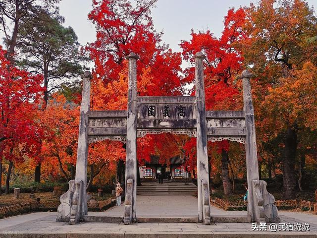 苏州居然还藏着一个“中国四大枫叶胜地”！