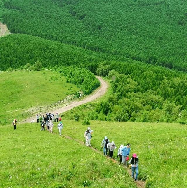 躲进秦岭古村，来佛坪过两天山野慢生活！