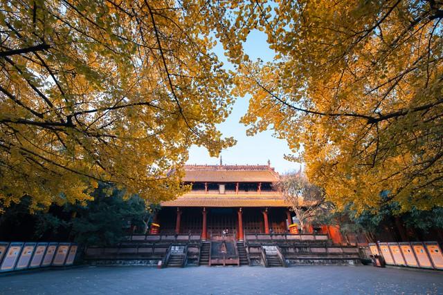 东边邻国马上看不到，国人真有福！几个能看熊猫的景点赶紧去打卡