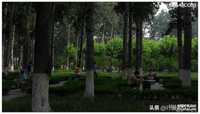 山东行游影记（16）—济南山东大学（三）