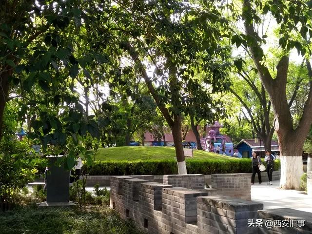 王凯利：革命公园里的露天影院