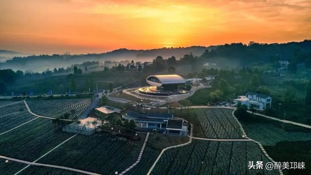 近悦远来·营城兴业丨夹关镇：“日茶夜酒”飘香，万亩茶园“长出”新业态