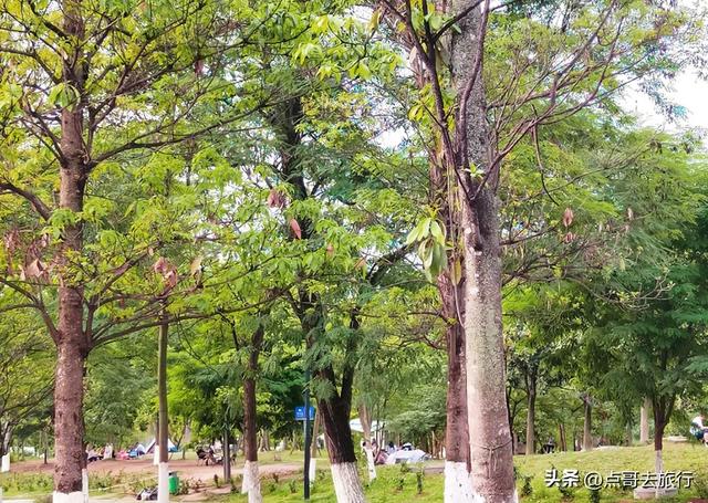 成都秋天最时髦户外活动，不久会火，这些地方都是捡秋的宝藏地
