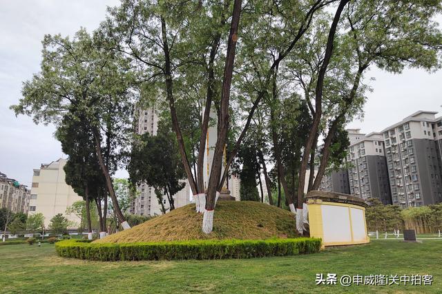 商洛市：寻访四皓墓（商州汉墓群）