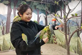 继撸猫撸狗之后 又兴起撸鸟 太原年轻人爱上“到店撸宠”图片