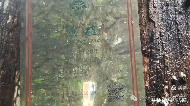 探秘雁荡三绝之一的绝美风光！来一次深度游~