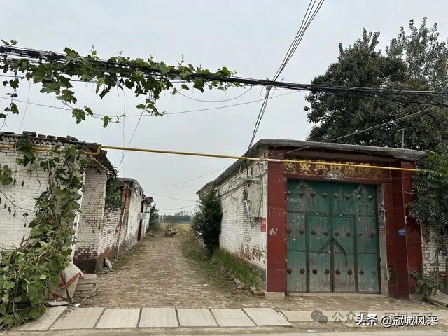 冠县乡韵·桑阿镇野场村