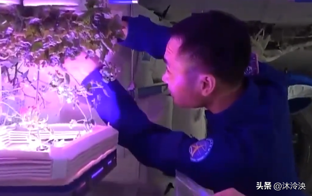 神舟二十即将返回地球！太空超驻留期间，原来他们完成了这些任务