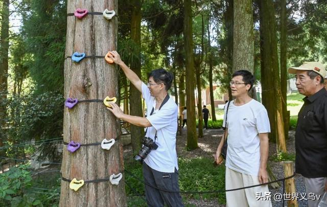 特别关注丨金华市科普作协开展全国科普月金华山科普创作采风活动