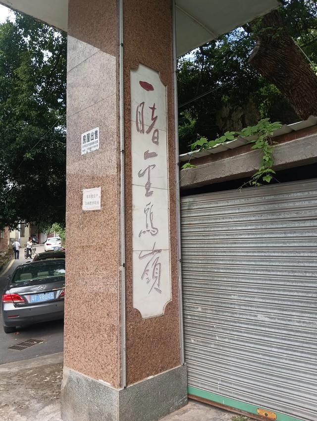 一睹金鸡岭，十年不看山？