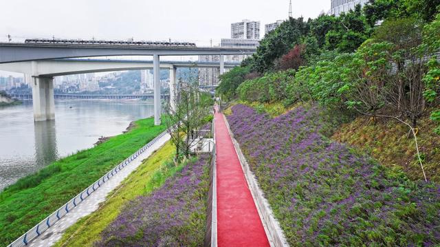 重庆“两江四岸”地图上新！4处打卡地可散步、遛娃