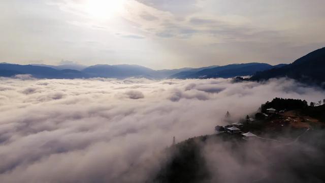 绿春县迷克茶山:云巅日出,一场温柔奔赴