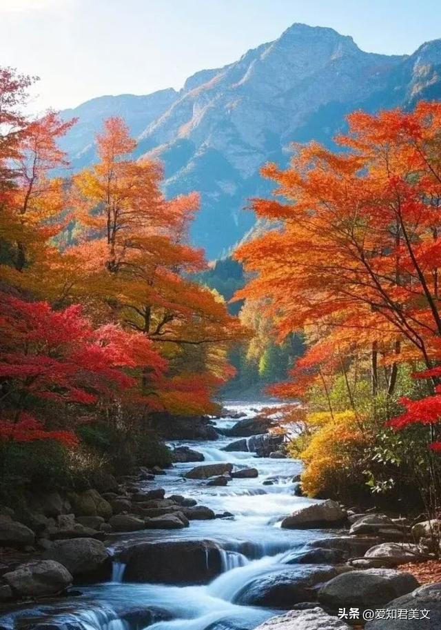 立冬到，在晚秋与初冬间徘徊，赏秋之绚烂与冬之静谧