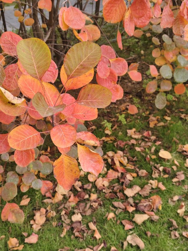 徒步穿越西流湖，赏秋正当时