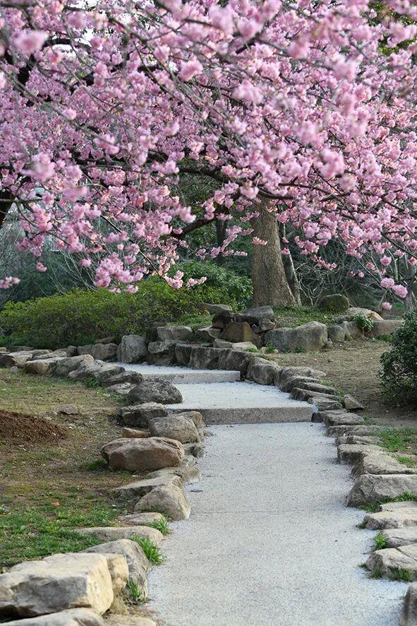 清晨7点的鼋头渚，美爆了