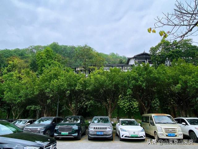 2023年春重庆探亲记（三）