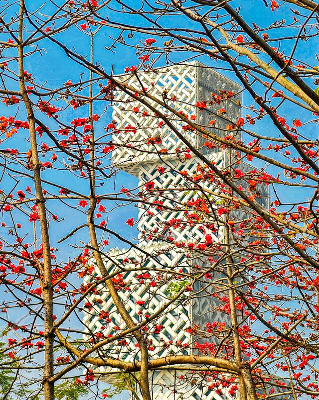 图集丨行走50公里！如何拍出最美照片