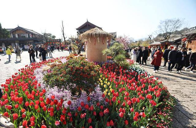 丽江古城马年新春喜迎“开门红” 单日接待游客量创历史新高