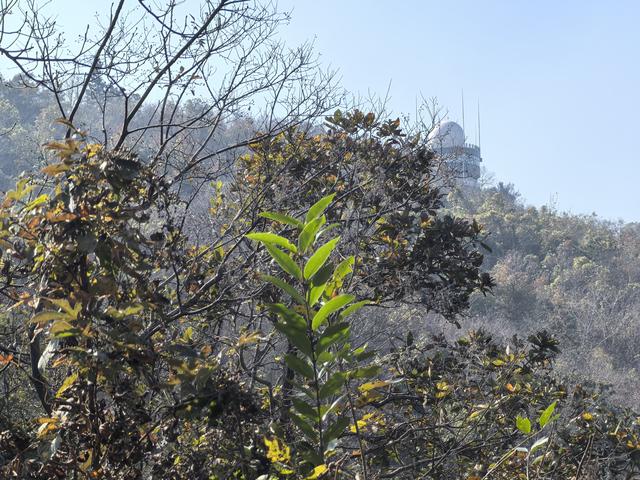 南京龙尚湖，大连山，佘村一日郊野徒步