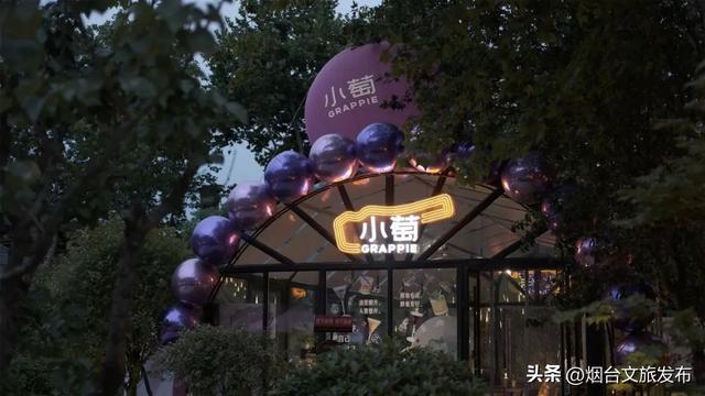【乐游烟台】烟台网红新地标，“微醺号”列车来啦