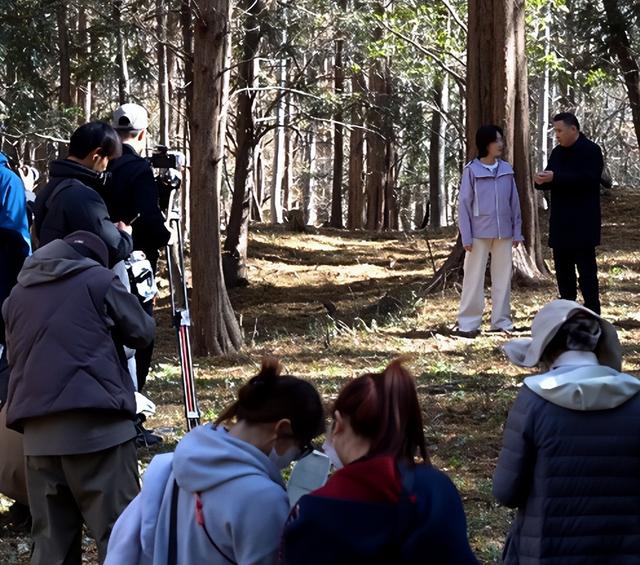 央视《寻味山海》邂逅中国香菇之乡——探寻随县山海韵味