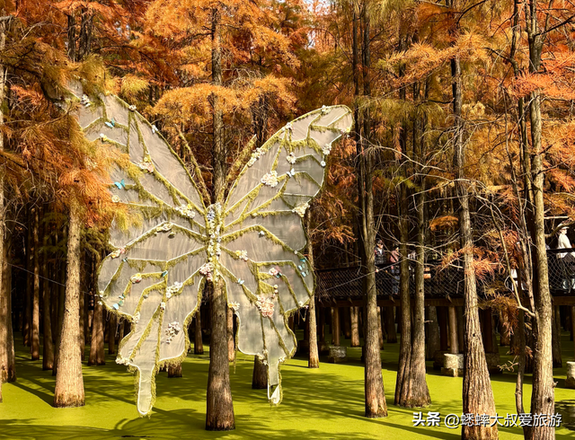 杭州“油画版景点”爆火，一天5万人次，可喂鹿，划船，走栈道！