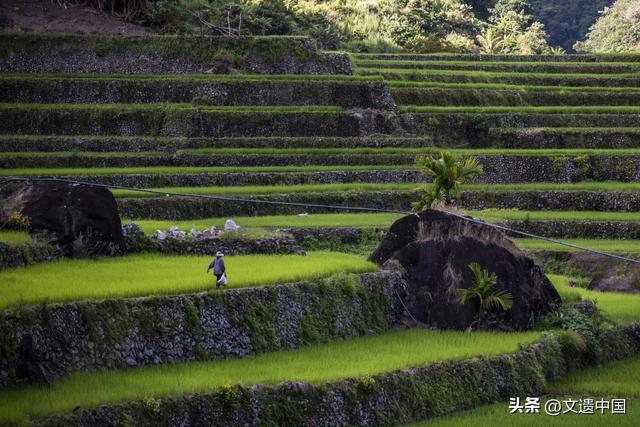 世界文化遗产里的大地艺术：全球三大绝美梯田，云山秘境桃花源