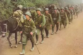 “全军骡马化”是“政治挂帅”的后果还是现实的无奈选择？图片