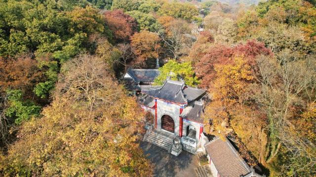 全屏“封神”!这可是全椒初冬的超绝顶流!