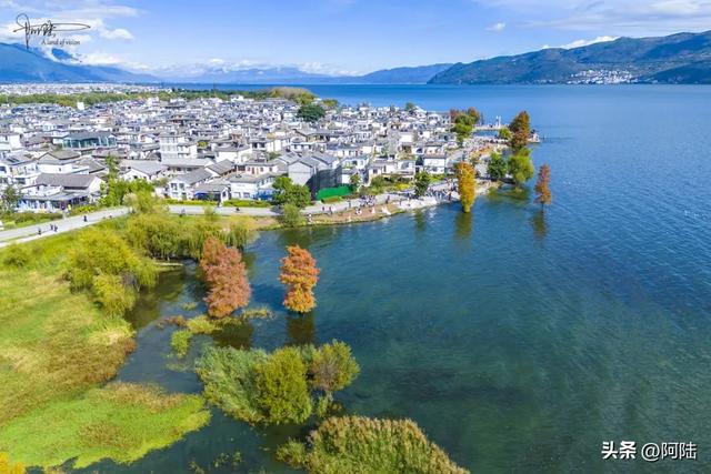 龙龛码头太有名，每天有很多人过来拍婚纱，但他们却不知道夫妻树